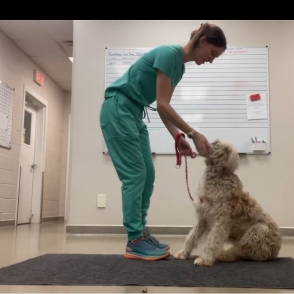 Scrub Set - Picture 5 of 7